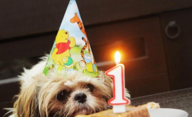 שוקו של ליה קוסשבילי - חביב הקהל