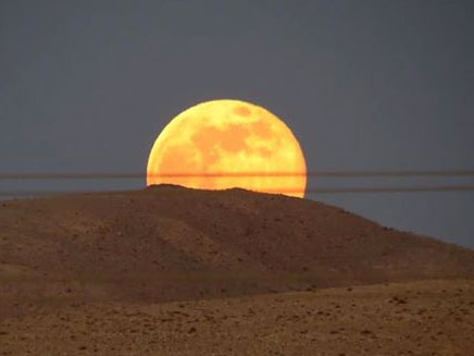 הירח הענק במלוא הדרו, הערב (צילום: אידור אוביץ)