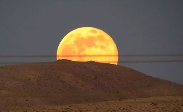 הירח הענק במלוא הדרו, הערב (צילום: אידור אוביץ)