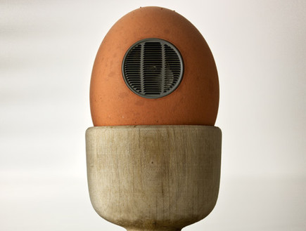 מתקן ביצים giuseppecolarusso.it (צילום: giuseppecolarusso.it)