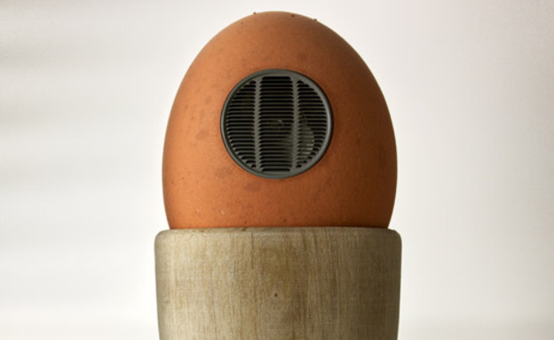 מתקן ביצים giuseppecolarusso.it (צילום: giuseppecolarusso.it)