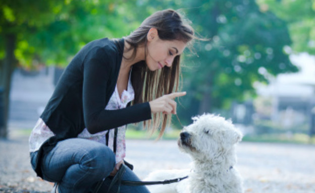 כלב לוקח אאישה מאלפת כלב