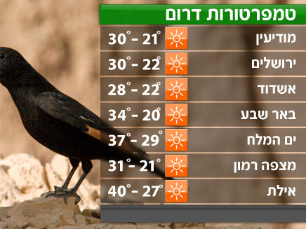 הטמפרטורות בדרום