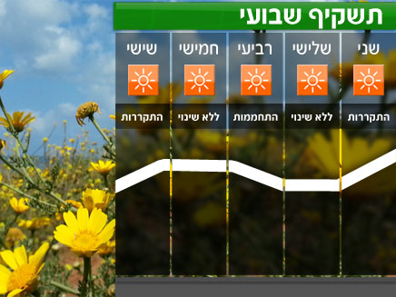 תשקיף