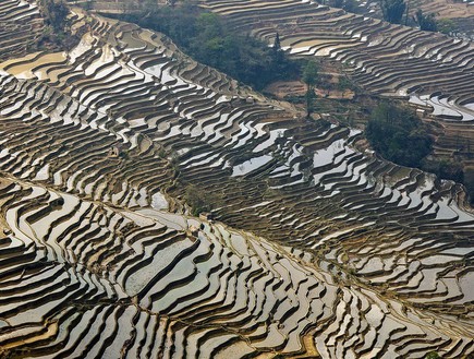 טרסות האורז בסין, אתרי אונסקו, קרדיט amusingplanet.com (צילום: אימג'בנק / Thinkstock)