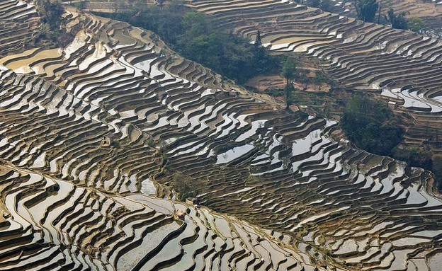 טרסות האורז בסין, אתרי אונסקו, קרדיט amusingplanet.com (צילום: אימג'בנק / Thinkstock)