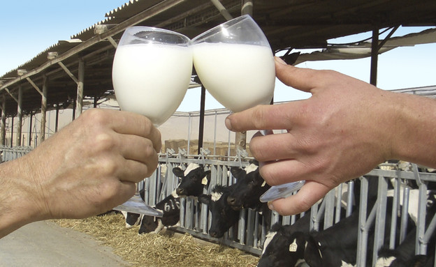 חליבה לילית, צילום ארכיון יטבתה חליבה לילית, צילום ארכיון יטבתה