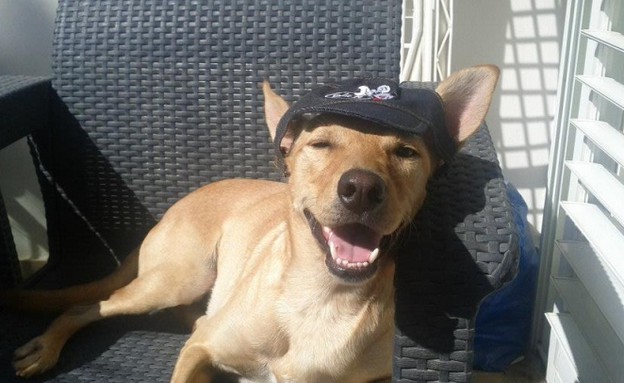 לאקי של לירן כרמלי לאקי של לירן כרמלי