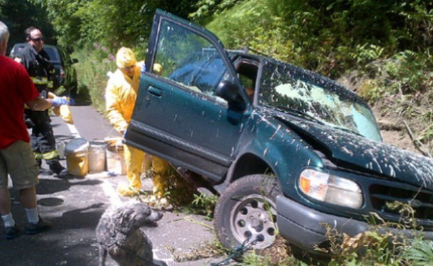 תאונת דרכים עם צבע באוטו (צילום: komonews.com)