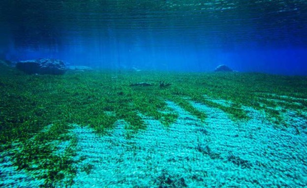 הקרקעית, בלו לייק הקרקעית, בלו לייק