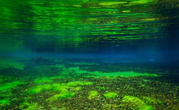 צבעים מרהיבים, בלו לייק צבעים מרהיבים, בלו לייק