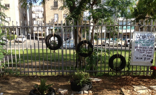 שבט בת ים, צילום עמית ינאי שבט בת ים, צילום עמית ינאי