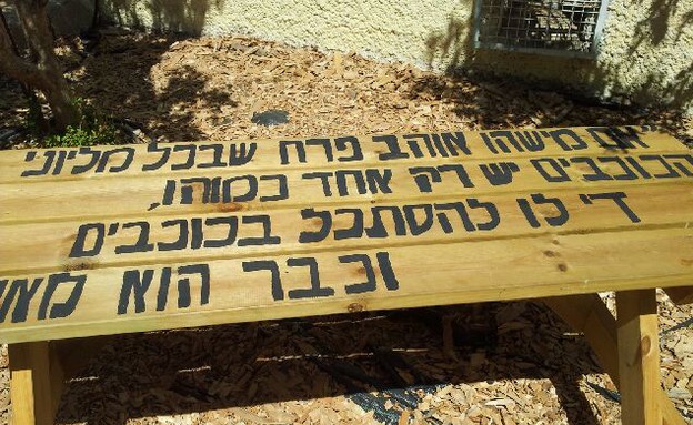 שבט גני יער. חדרה. צלם עמית ינאי (4) שבט גני יער. חדרה. צלם עמית ינאי (4)