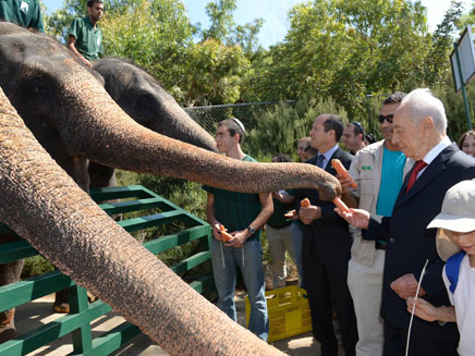 הנשיא והפילים (צילום: מארק ניימן, לע