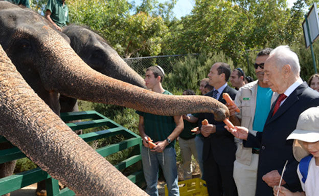 הנשיא והפילים (צילום: מארק ניימן, לע"מ)