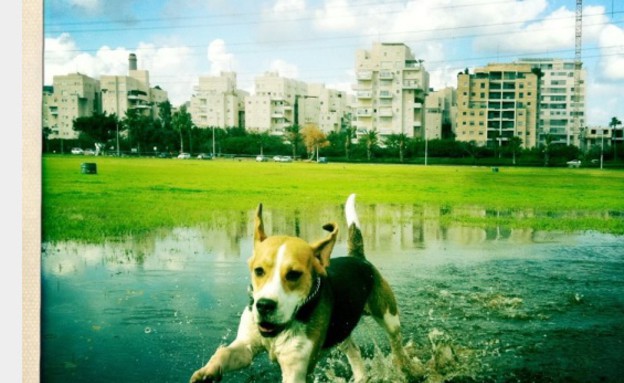 ברונו של עידן לוי ברונו של עידן לוי