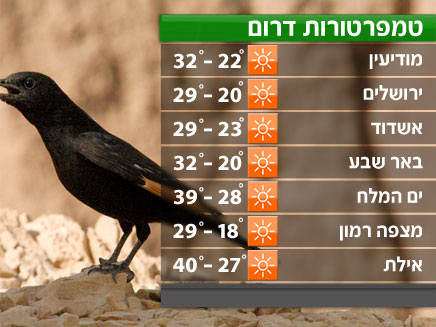 הטמפרטורות בדרום