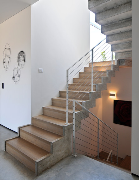 פרנקל, מדרגות (צילום: שי אדם)