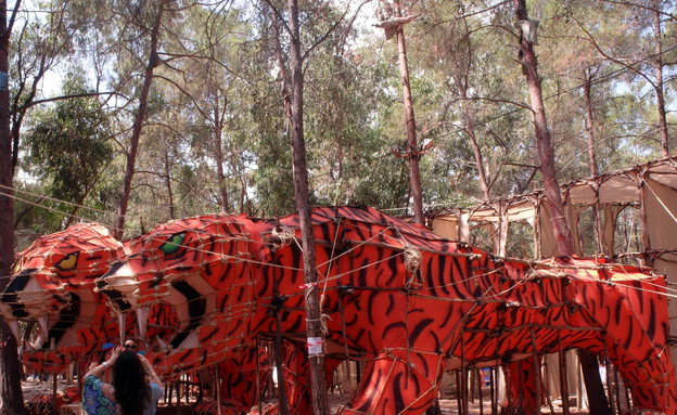 צופים, גוף נמר