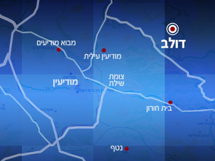 טרגדיה בדולב (צילום: מפה)