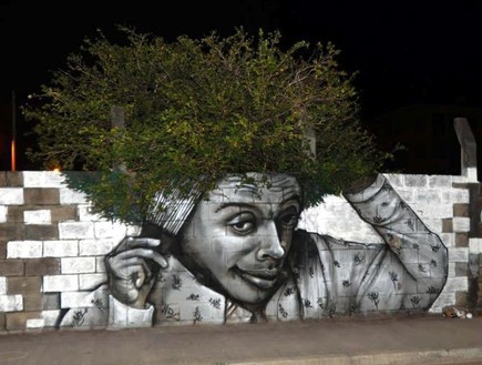 אמנות רחוב, עץ (צילום: www.facebook.com)
