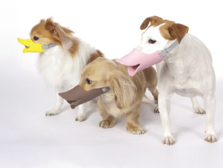 המצאות, כלבים (צילום: item.rakuten.co)