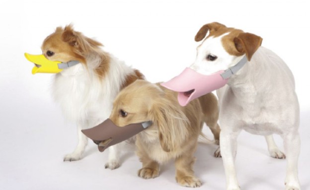 המצאות, כלבים (צילום: item.rakuten.co)