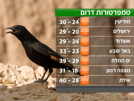 הטמפרטורות בדרום