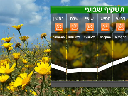 תשקיף