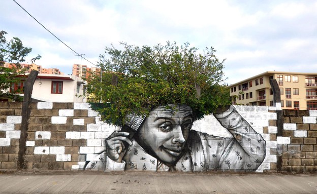אמנות רחוב, עץ (צילום: kristianeliz.com)