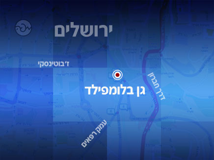 מפת האזור (צילום: mapa)