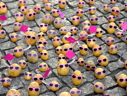 www.peterpink מיצגים, תפוחי אדמה משקפיים (צילום: www.peterpink)