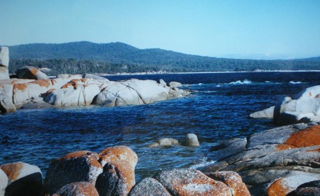 אבנים אדומות, חוף טזמניה, צילום members.virtualtou אבנים אדומות, חוף טזמניה, צילום members.virtualtou