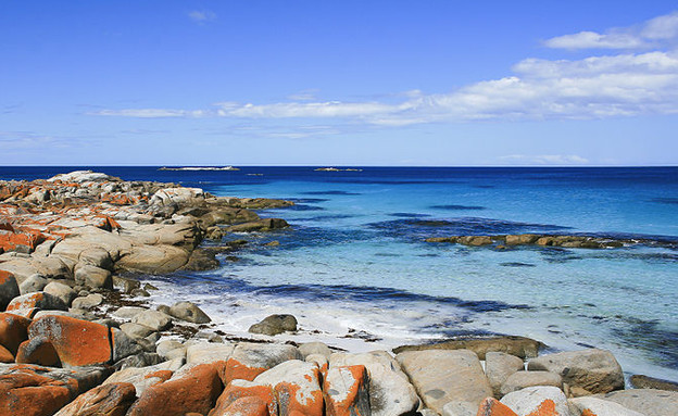 אבנים כתומות, חוף טזמניה, אבנים כתומות, חוף טזמניה,