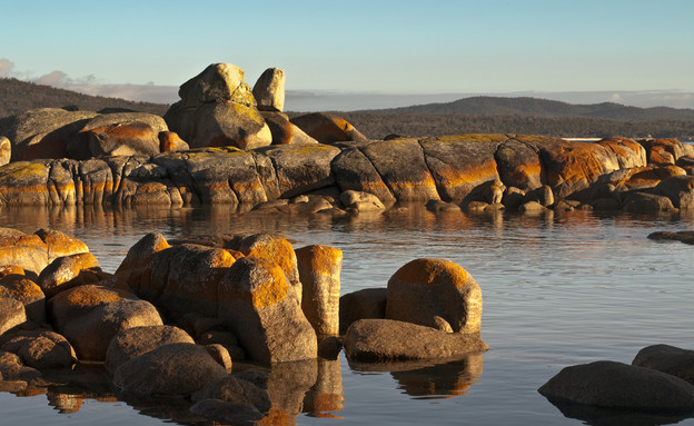 חוף מרהיב, חוף טזמניה, קרדיט אימג'בנק חוף מרהיב, חוף טזמניה, קרדיט אימג'בנק