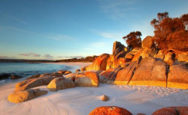 מקרוב, חוף טזמניה, צילום visitsthelenstasmania.com מקרוב, חוף טזמניה, צילום visitsthelenstasmania.com