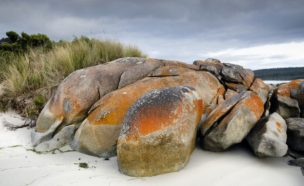 סלעים על החוף, חוף טזמניה, קרדיט אימג'בנק סלעים על החוף, חוף טזמניה, קרדיט אימג'בנק