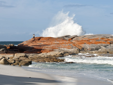 סלעים, חוף טזמניה, קרדיט אימג'בנק (צילום: אימג'בנק / Thinkstock)