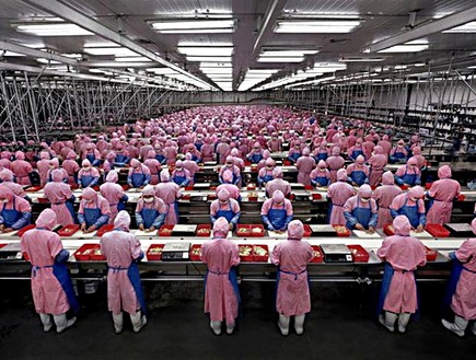 תנאי העבודה הקשים של יצרני אפל (צילום: China Labor Watch)