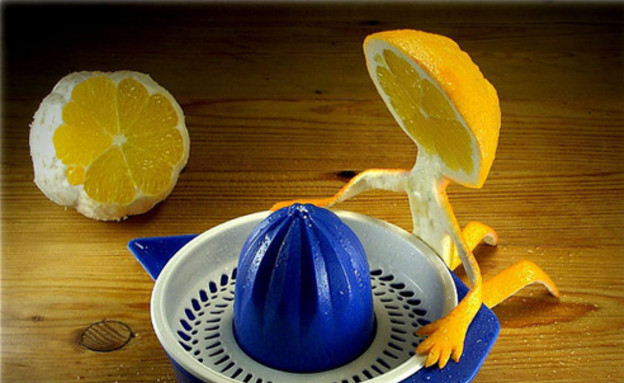 אמנות באוכל - תפוז מתאבד (צילום: צילום מסך מהאתר www.noupe.com)