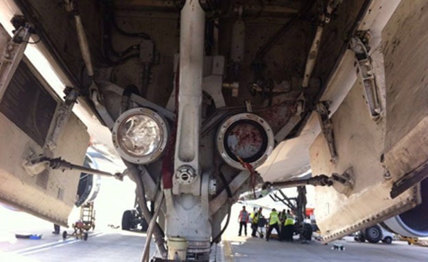 המטוס שנפגע, היום (צילום: חדשות 2)