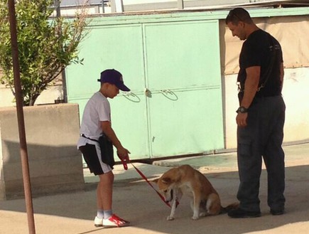 קורס אילוף כלבים (צילום: משטרת מרחב הנגב, משטרת ישראל)