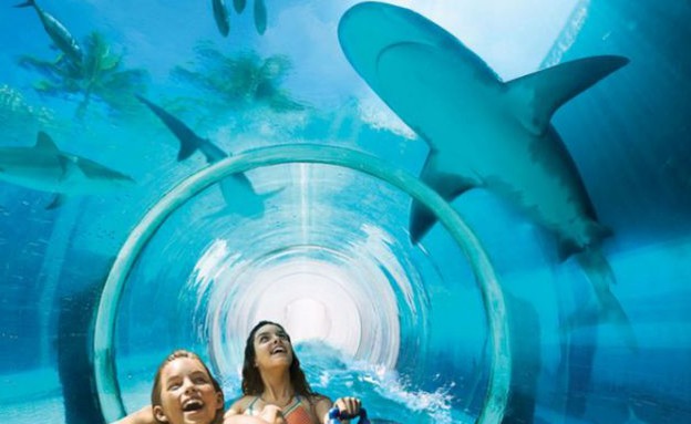 כרישים מסביב, מקדש מגלשה