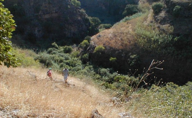 עוד הזוויתן, צילום איל שפירא, ההמלצה (צילום: איל שפירא)