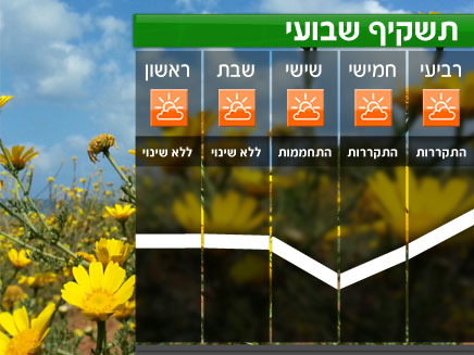 תשקיף