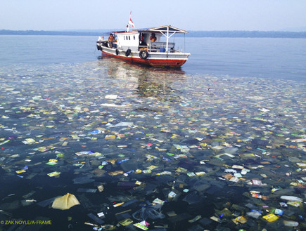 ים האשפה באינדונזיה (צילום: זאק נויל / huffingtonpost.com)