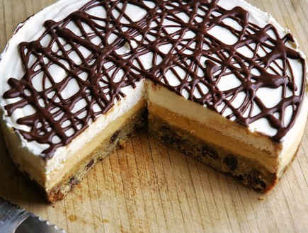 עוגת גלידה עוגיות שוקולד צ'יפס (צילום: מתוך אתר buzzfeed)