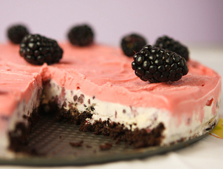 עוגת גלידה שוקולד וגרגרי יער (צילום: מתוך אתר buzzfeed)