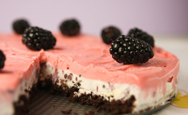 עוגת גלידה שוקולד וגרגרי יער (צילום: מתוך אתר buzzfeed)