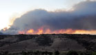 שריפה אריזונה (צילום: חדשות 2)